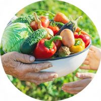 17514b8d76391f2e346f3959ce956286_XL – Copia (2) 17514b8d76391f2e346f3959ce956286_XL - Copia (2)