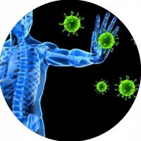 toxins-body-1700×850 – Copia (2) toxins-body-1700x850 - Copia (2)